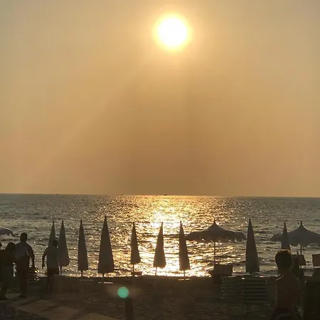 Sibilla Gallipoli